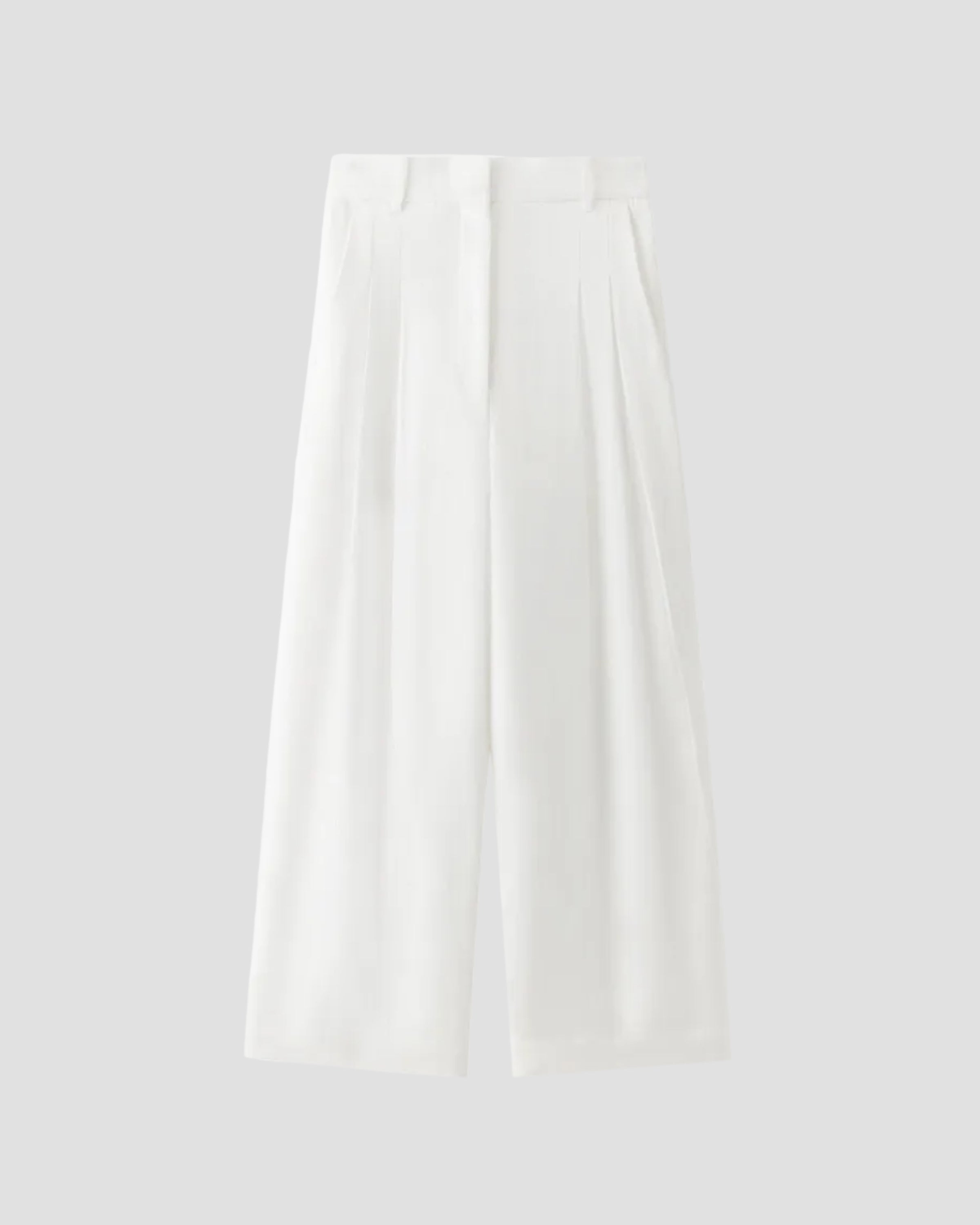 LINEN PLEATED WIDE LEG PANTS